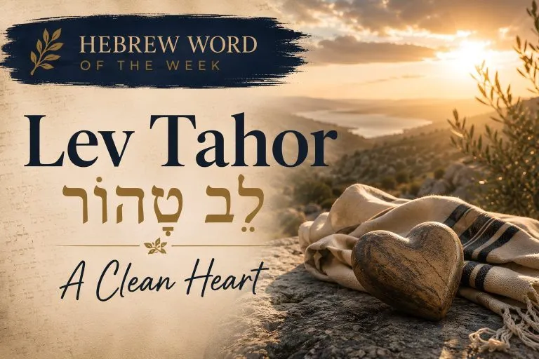 Hebrew Word of the Week: Lev Tahor (לֵב טָהוֹר) — A Clean Heart